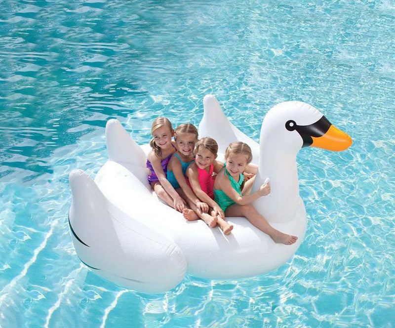 OC Swan Floatie